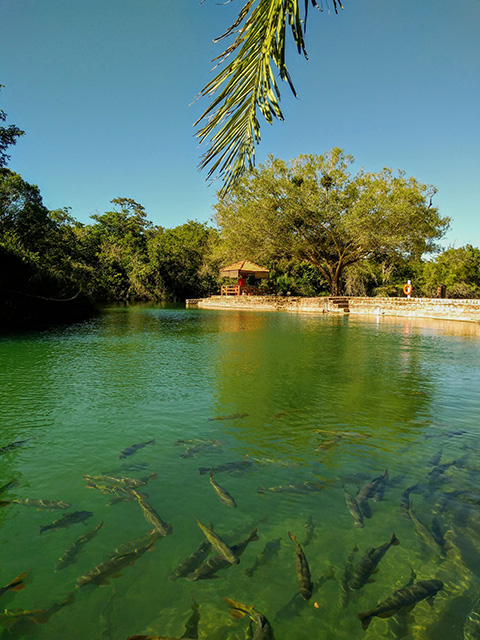 Bonito - Photo by Marcelo Gil